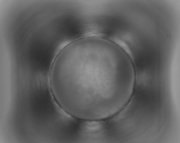 X0000111671338200907241204