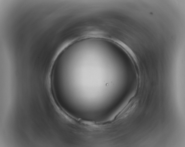 X0000111671341200907241204