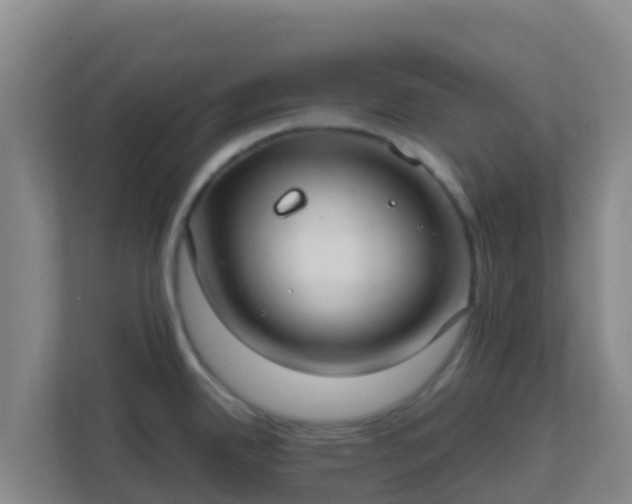 X0000111671342200907241204