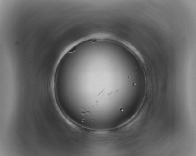 X0000111671343200907241204