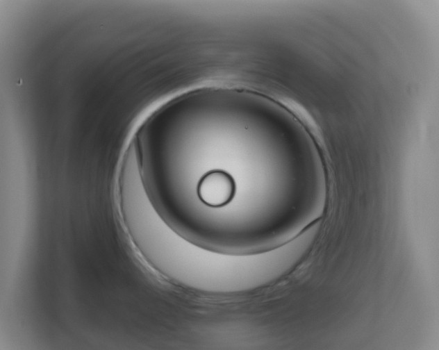 X0000111671344200907241204