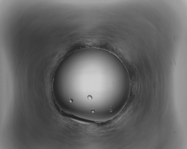 X0000111671345200907241204