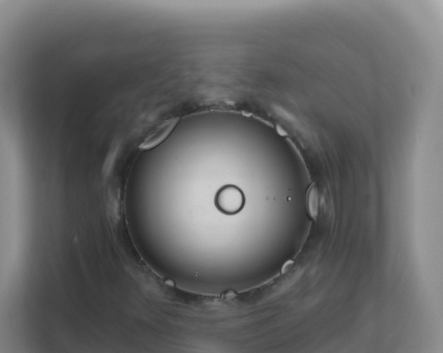 X0000111671348200907241204