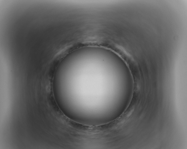 X0000111671350200907241204