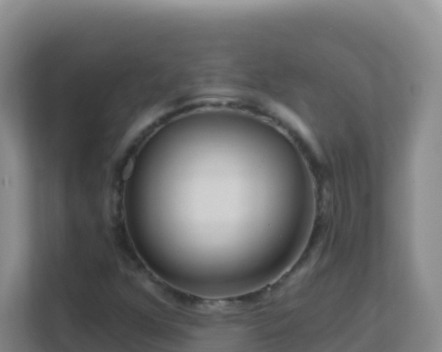 X0000111671352200907241204