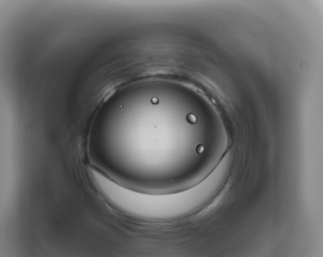 X0000111671353200907241204