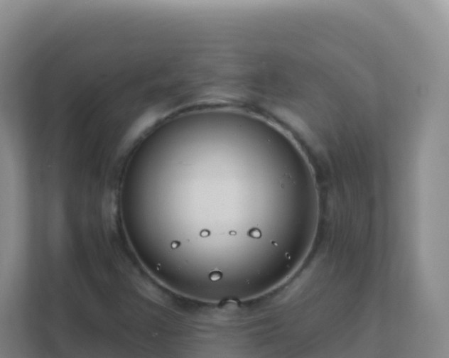 X0000111671355200907241204