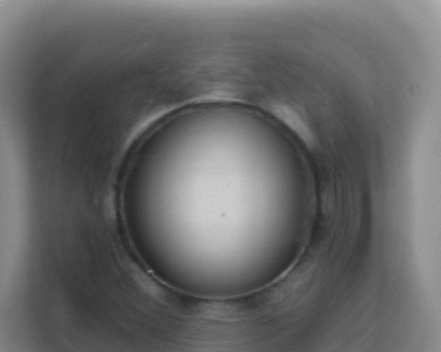 X0000111671356200907241204