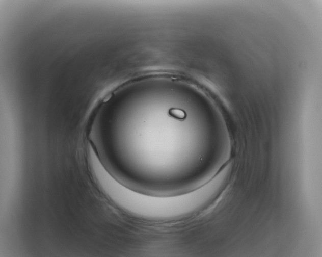 X0000111671357200907241204