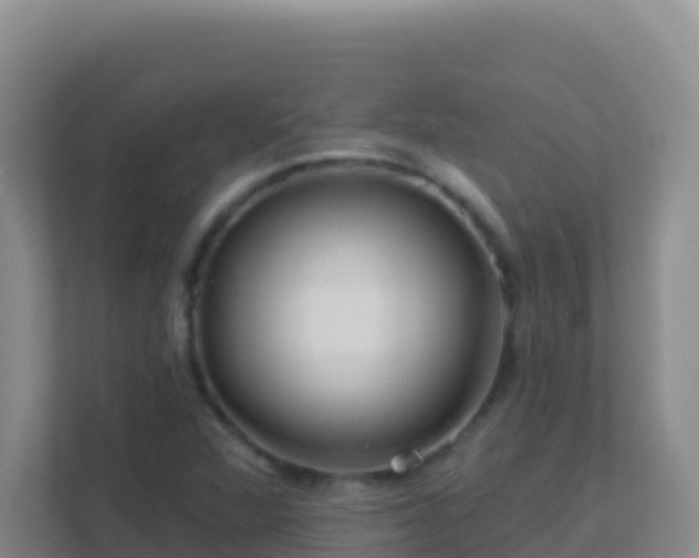 X0000111671360200907241204