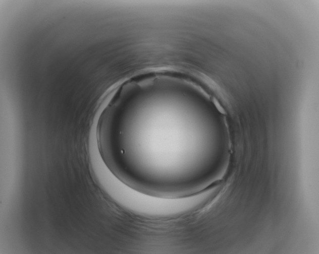 X0000111671361200907241204