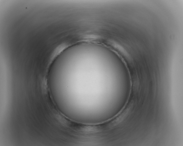 X0000111671362200907241203