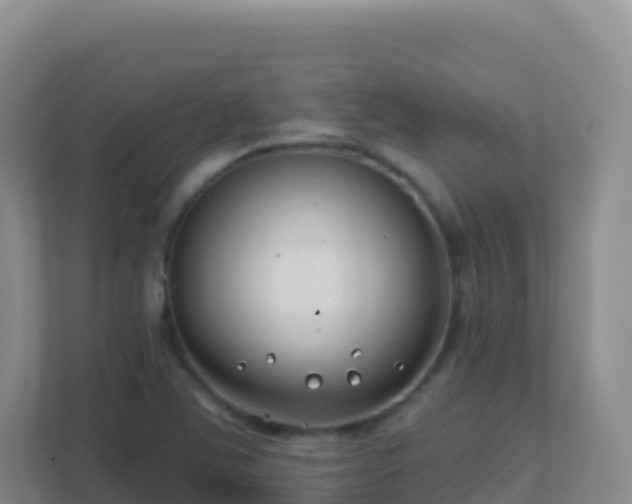 X0000111671363200907241203