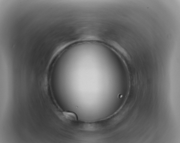 X0000111671364200907241203