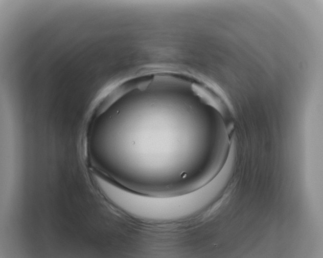 X0000111671365200907241203