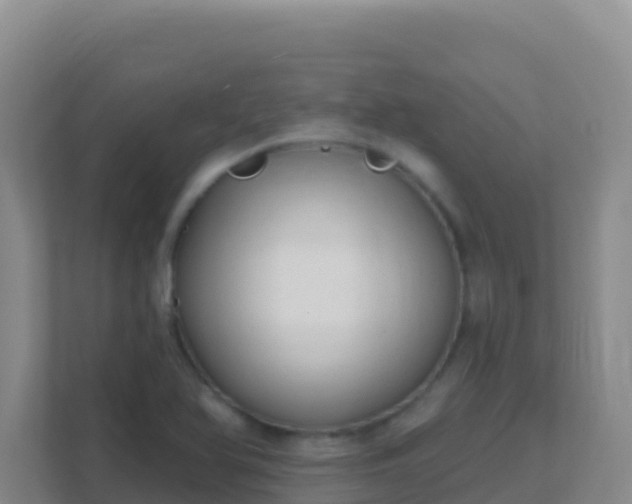 X0000111671366200907241203