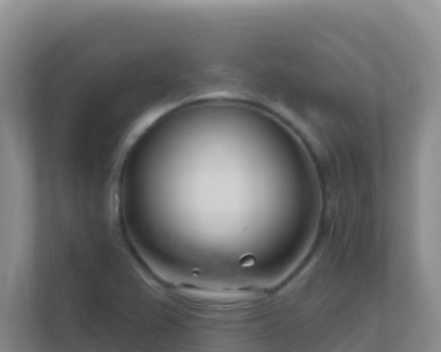 X0000111671367200907241203