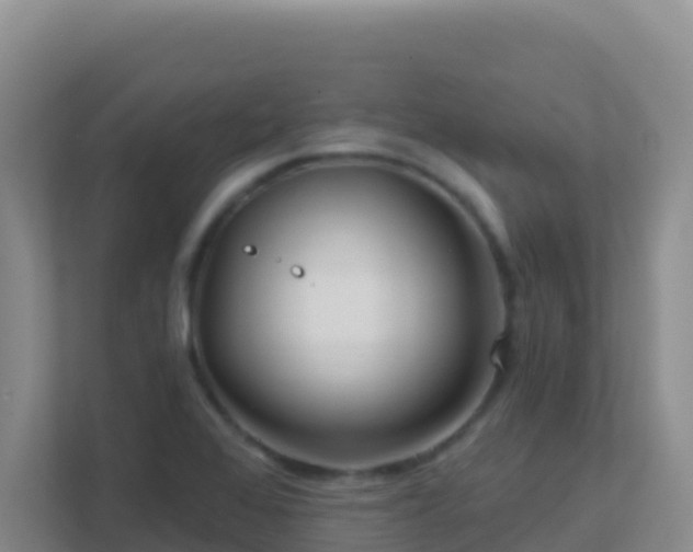 X0000111671368200907241203