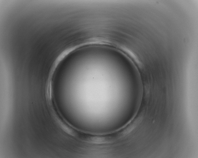 X0000111671371200907241203