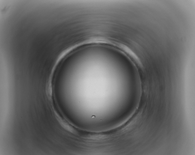 X0000111671372200907241203