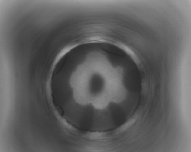 X0000111671373200907241203