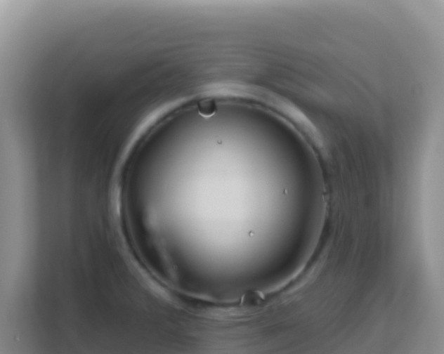 X0000111671376200907241203