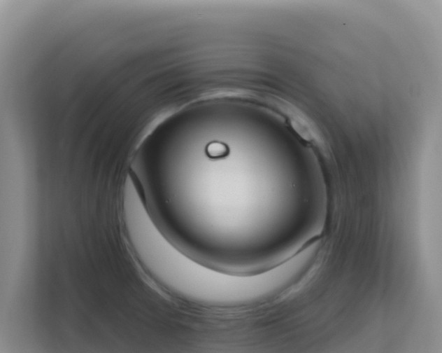 X0000111671377200907241203