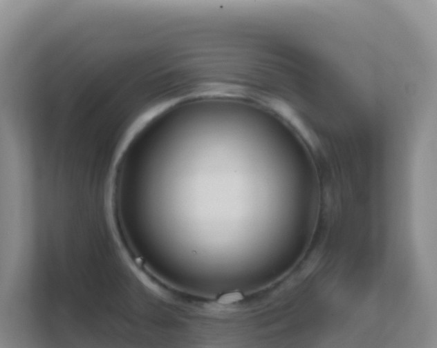 X0000111671379200907241203