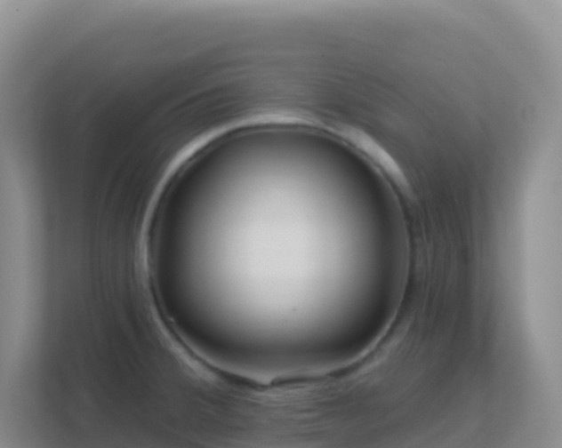 X0000111671380200907241203