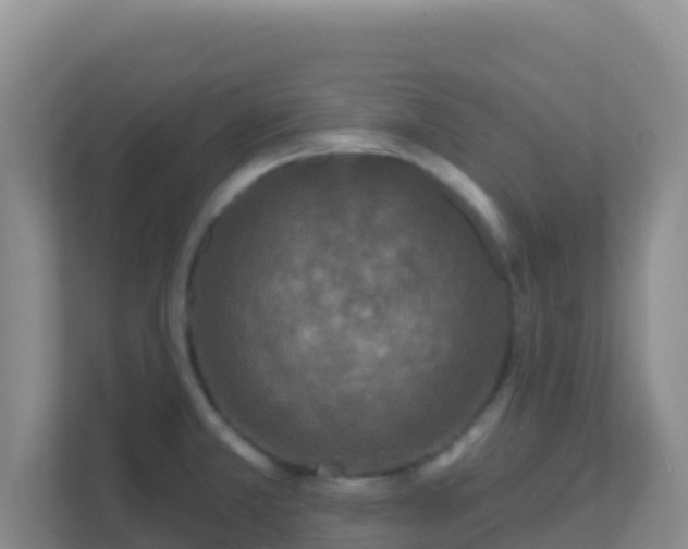 X0000111671381200907241203