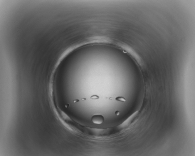 X0000111671383200907241203