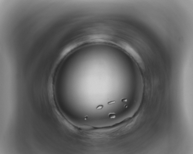 X0000111671384200907241203