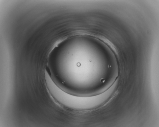 X0000111671385200907241203