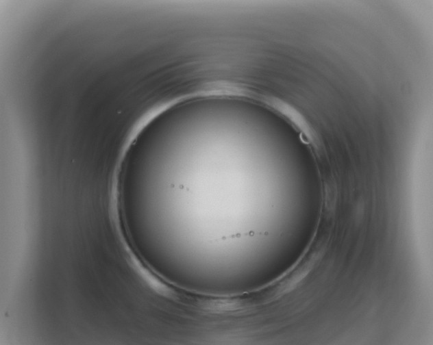 X0000111671387200907241203