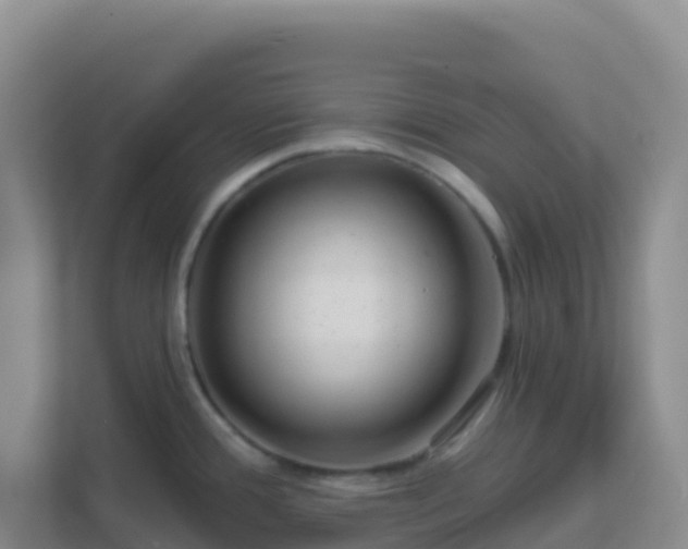 X0000111671388200907241203