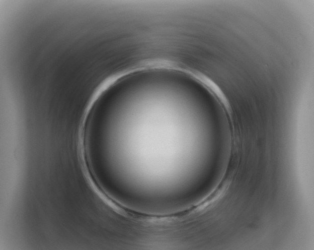 X0000111671389200907241203