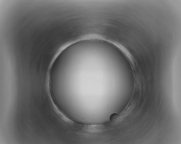 X0000111671390200907241203