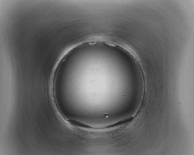 X0000111671392200907241203