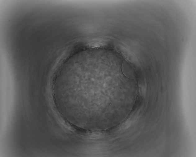 X0000111671393200907241202