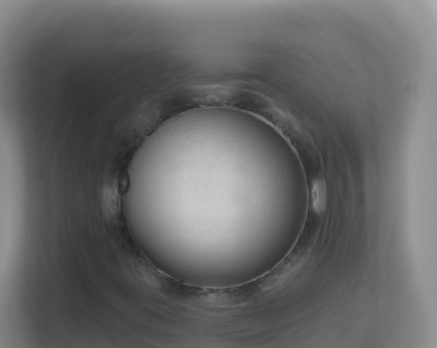 X0000111671395200907241202