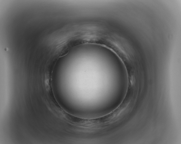 X0000111671396200907241202