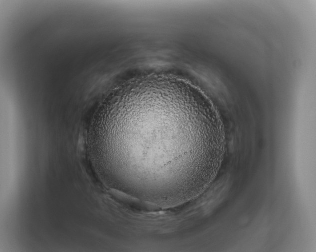 X0000111671397200907241202