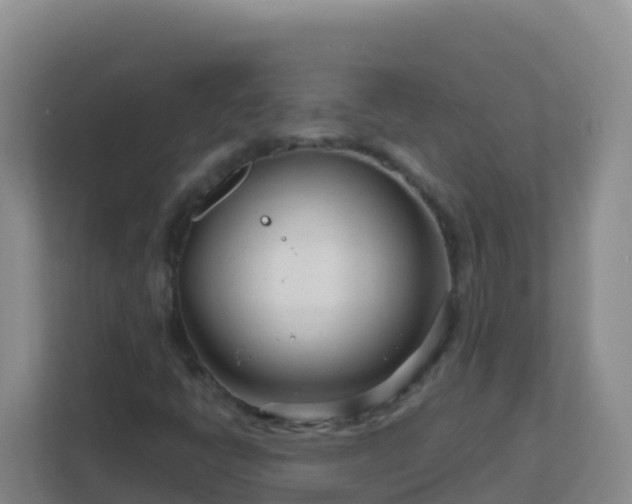 X0000111671398200907241202