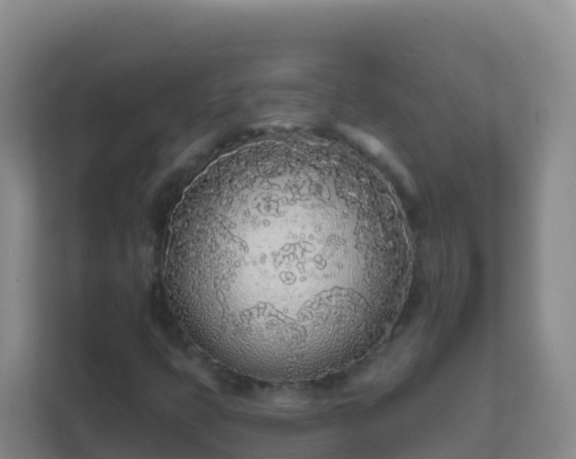 X0000111671399200907241202