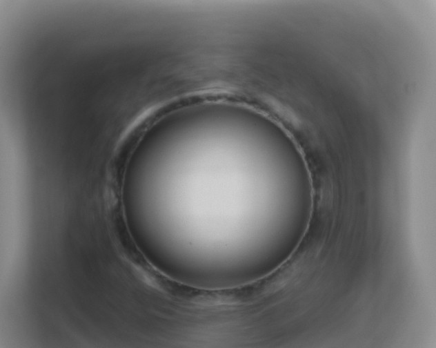 X0000111671400200907241202