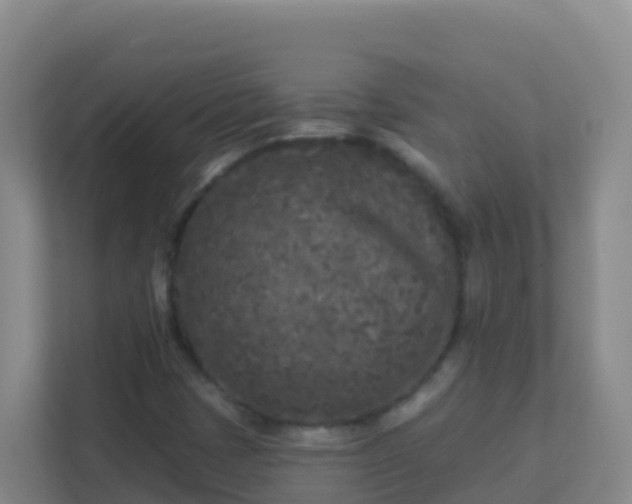 X0000111671401200907241202