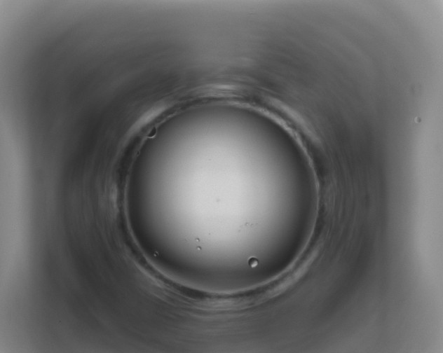 X0000111671402200907241203