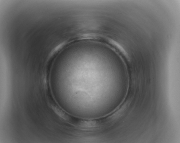 X0000111671403200907241203