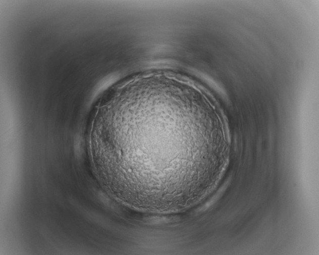 X0000111671405200907241203