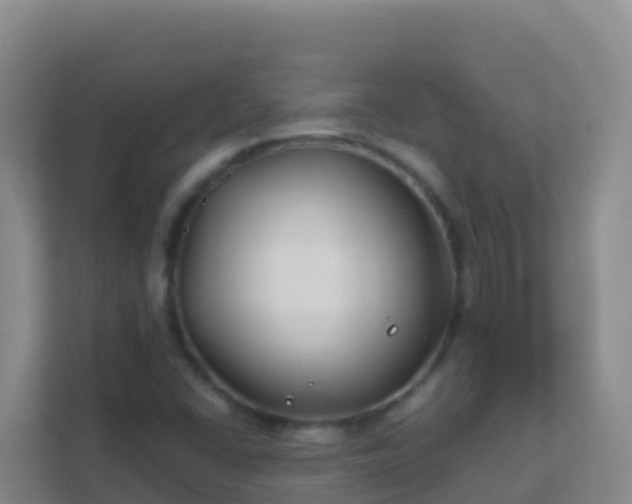 X0000111671406200907241203